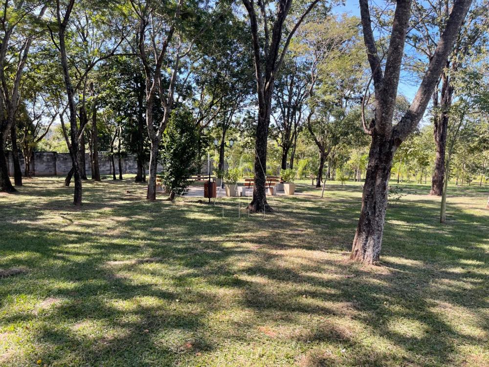 Alugar Casa / Condomínio em Araçatuba R$ 9.000,00 - Foto 34