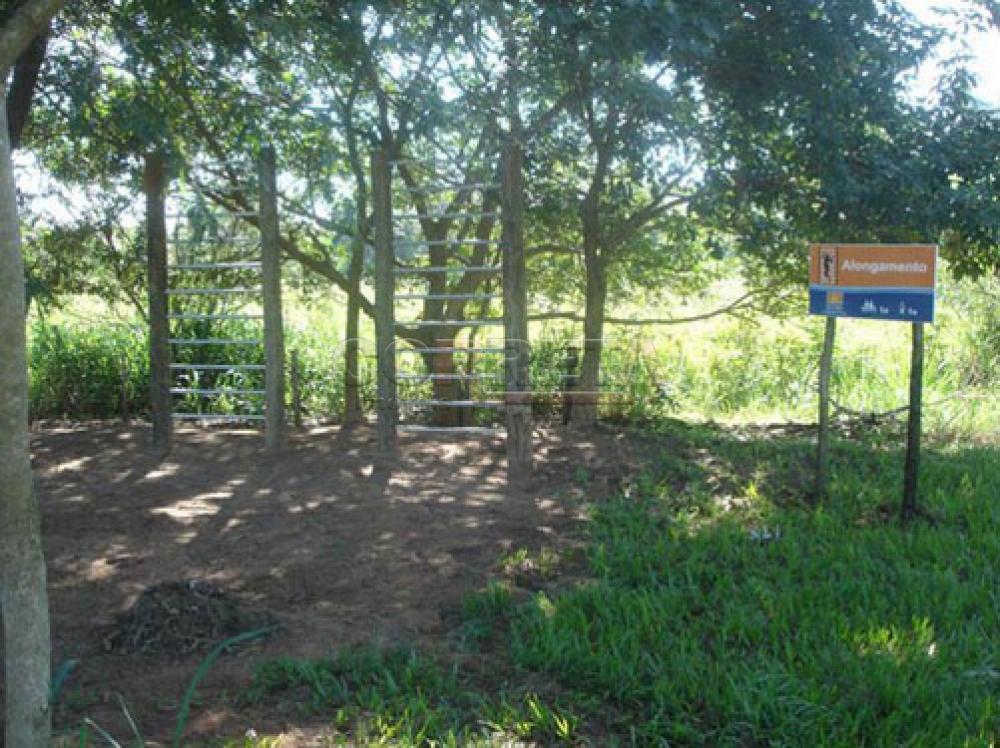 Comprar Rural / Rancho Condomínio em Araçatuba R$ 750.000,00 - Foto 51