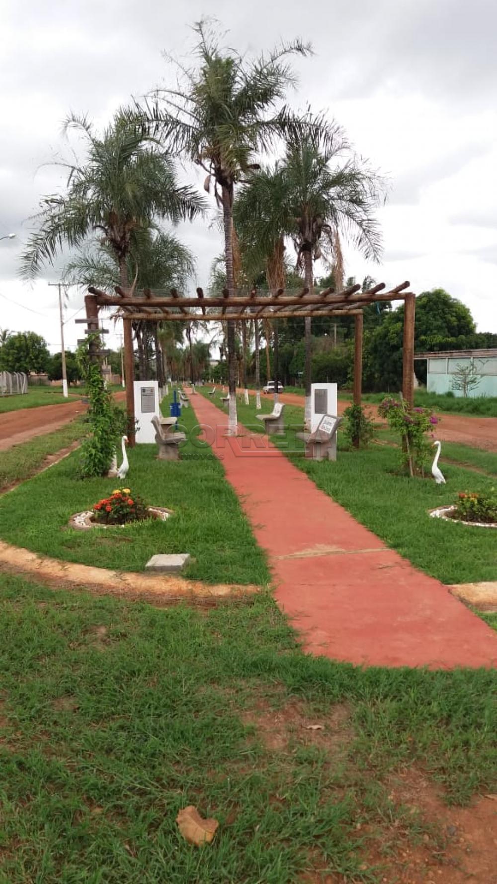 Comprar Terreno / Condomínio em Santo Antônio do Aracanguá R$ 160.000,00 - Foto 5