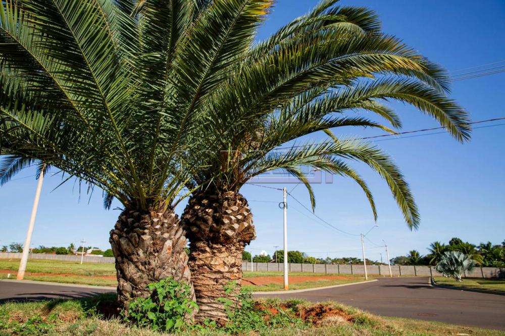 Comprar Terreno / Condomínio em Araçatuba - Foto 10