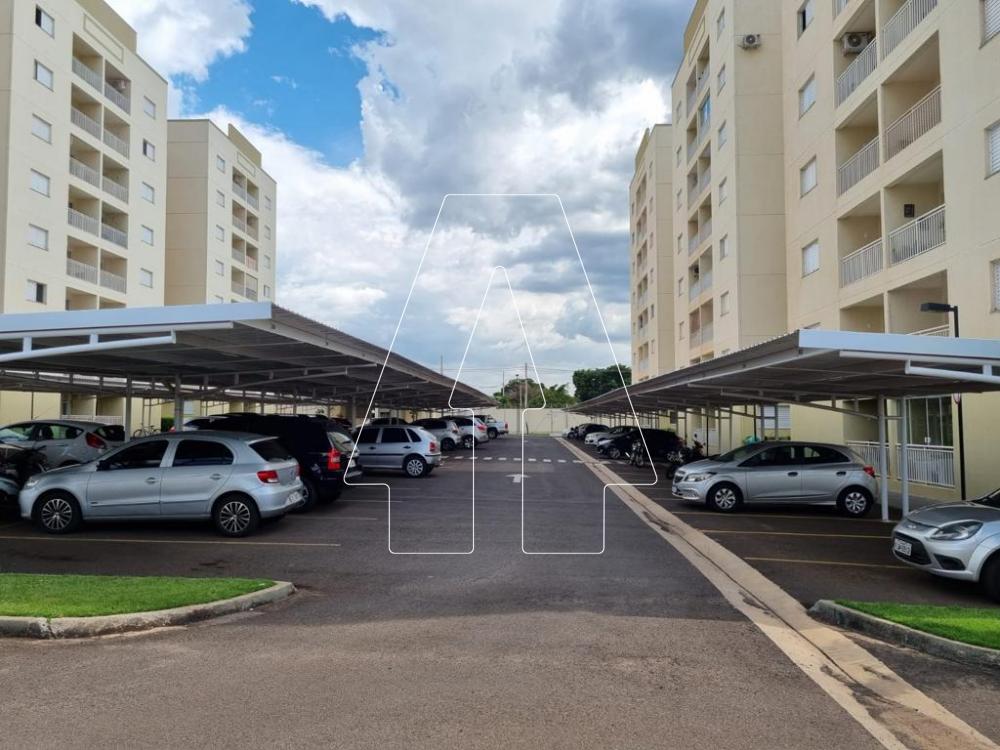 Alugar Apartamento / Padrão em Araçatuba R$ 1.550,00 - Foto 16