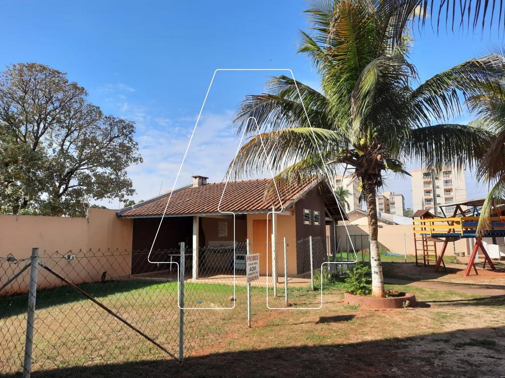 Alugar Apartamento / Padrão em Araçatuba R$ 1.100,00 - Foto 19