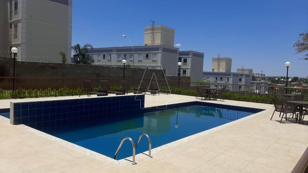 Alugar Apartamento / Padrão em Araçatuba R$ 1.000,00 - Foto 11