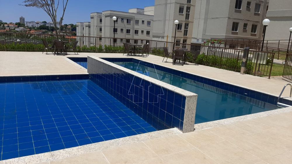 Alugar Apartamento / Padrão em Araçatuba R$ 1.000,00 - Foto 15