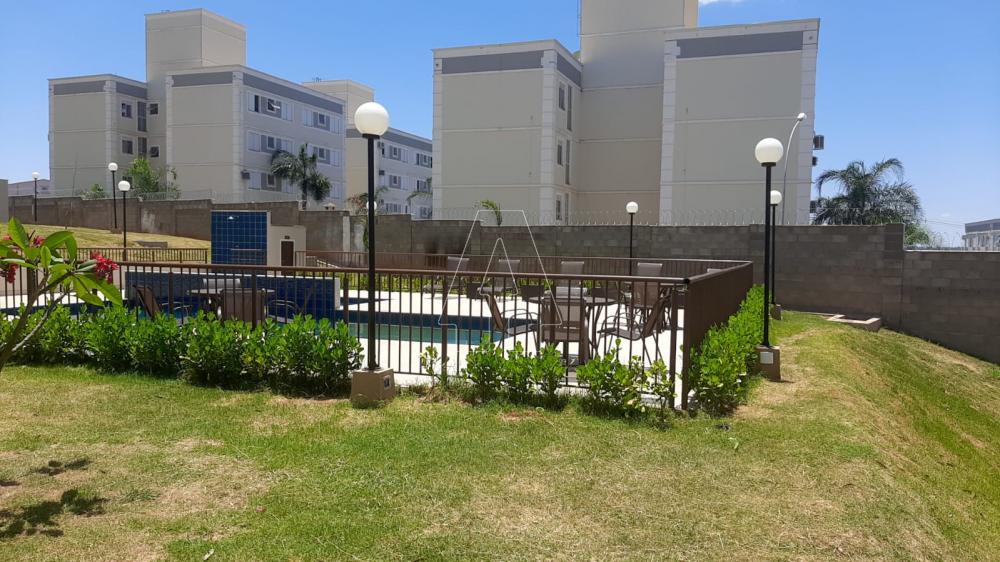 Alugar Apartamento / Padrão em Araçatuba R$ 1.000,00 - Foto 14