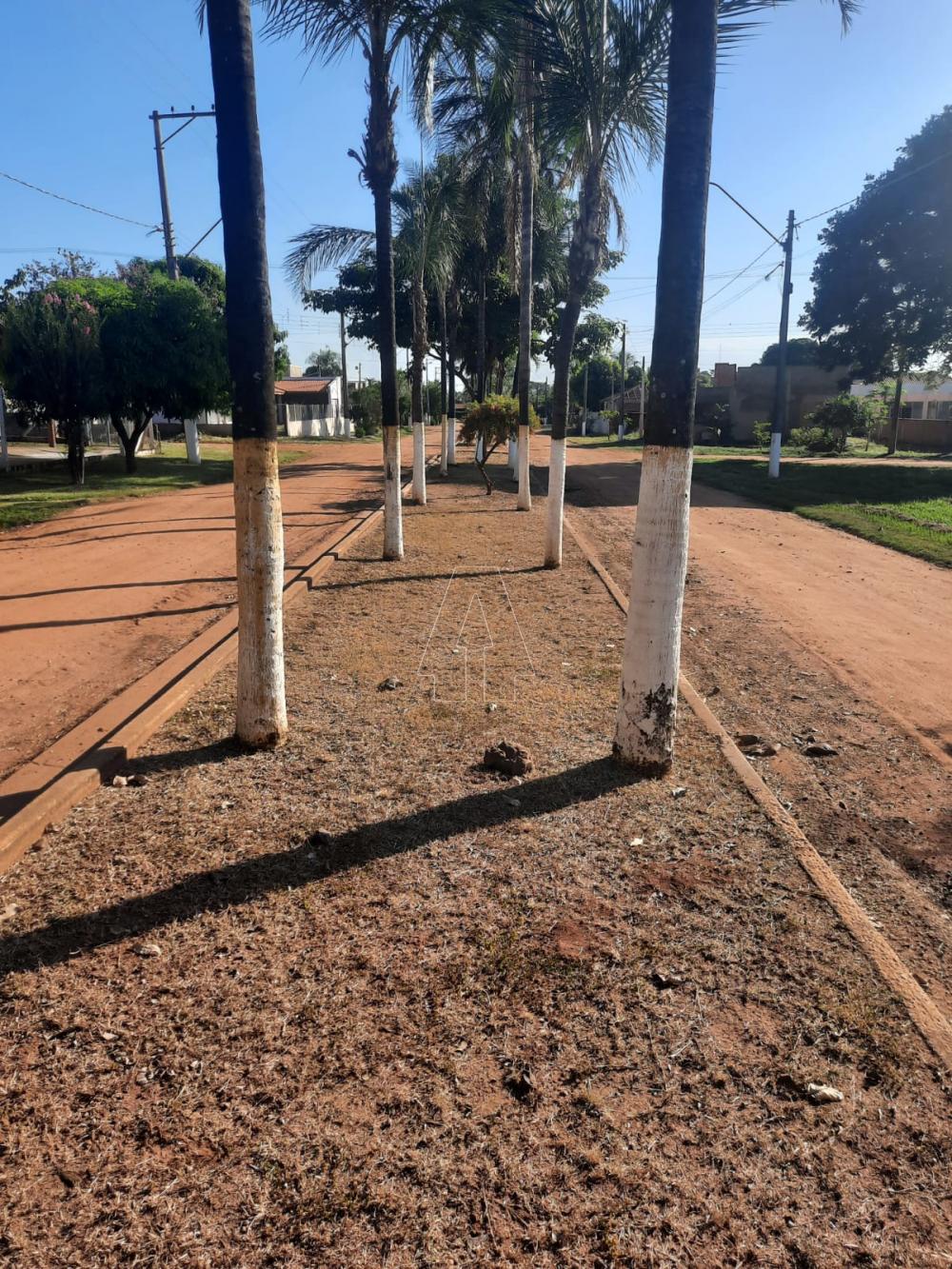 Comprar Terreno / Condomínio em Araçatuba R$ 125.000,00 - Foto 3