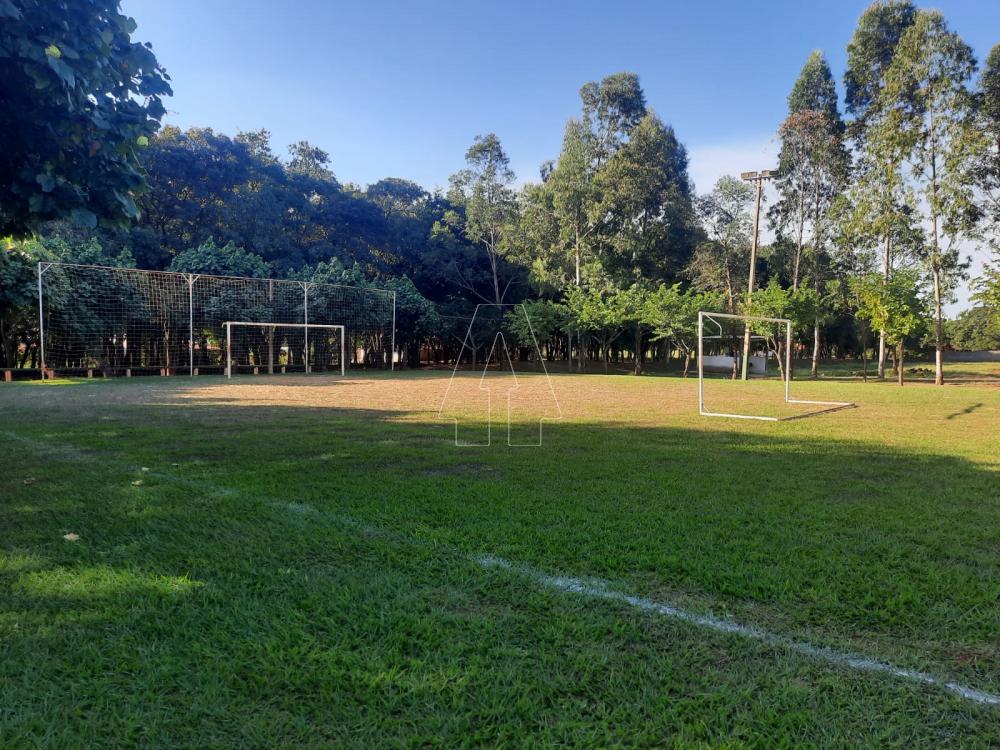 Comprar Terreno / Condomínio em Araçatuba R$ 125.000,00 - Foto 10