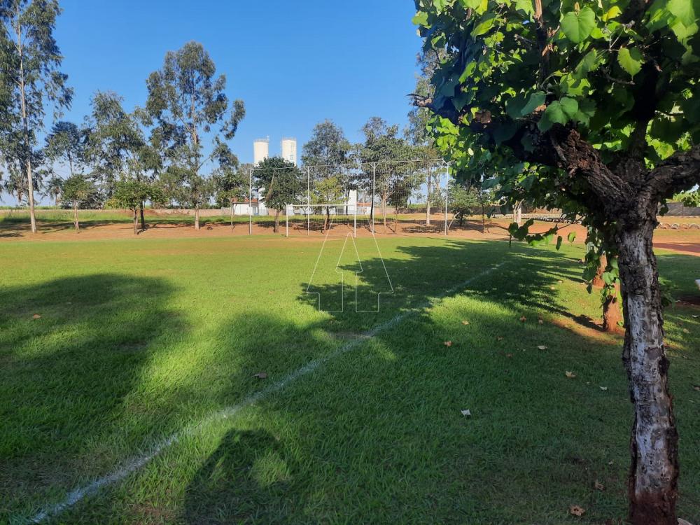 Comprar Terreno / Condomínio em Araçatuba R$ 125.000,00 - Foto 11