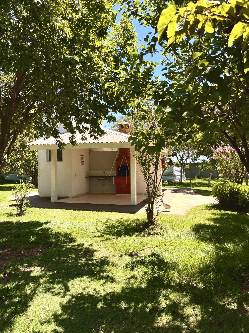 Alugar Casa / Condomínio em Araçatuba R$ 1.300,00 - Foto 13