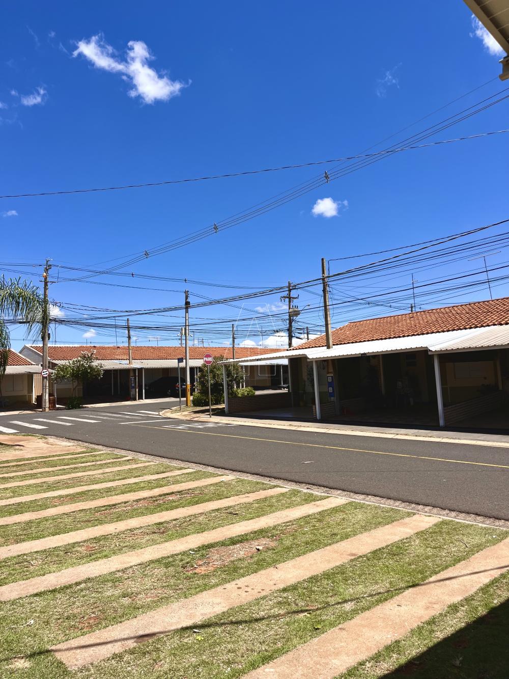 Alugar Casa / Condomínio em Araçatuba R$ 1.300,00 - Foto 16