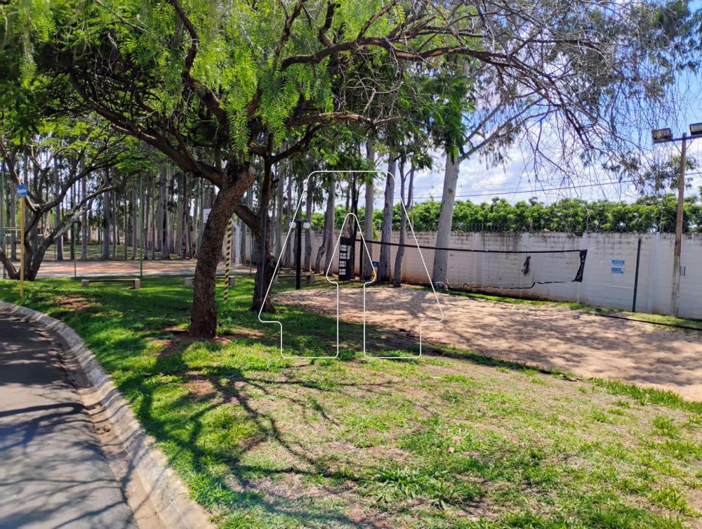 Comprar Terreno / Condomínio em Araçatuba R$ 275.000,00 - Foto 13