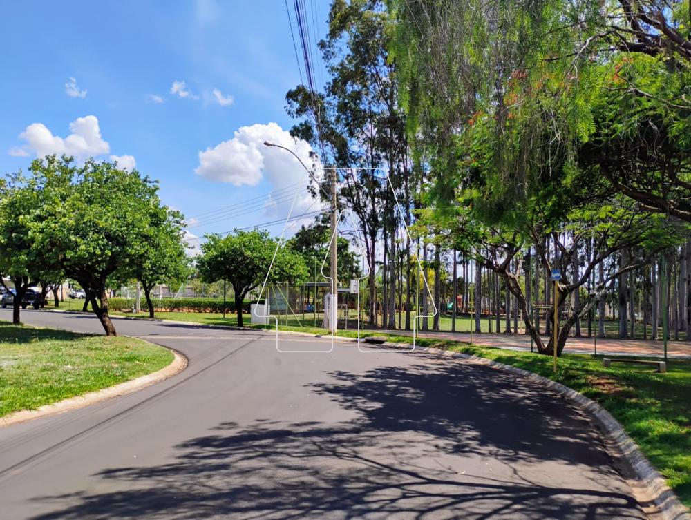 Alugar Casa / Condomínio em Araçatuba R$ 4.100,00 - Foto 32