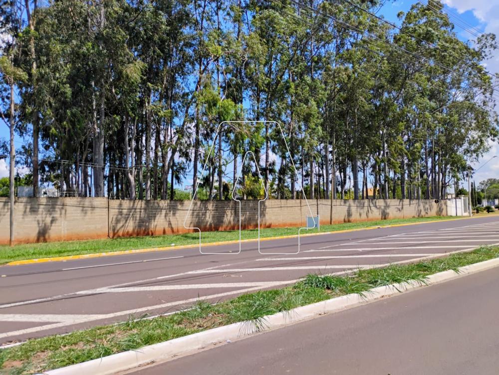 Alugar Casa / Condomínio em Araçatuba R$ 4.100,00 - Foto 49