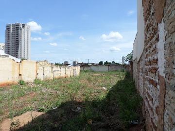 Alugar Terreno / Padrão em Araçatuba. apenas R$ 3.000,00