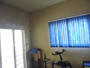 Alugar Comercial / Sala em Araçatuba. apenas R$ 800,00