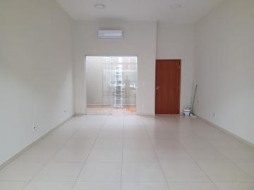 Alugar Comercial / Sala em Araçatuba. apenas R$ 1.500,00