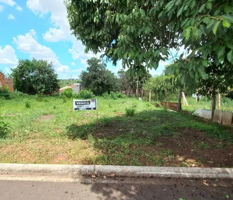 Alugar Terreno / Padrão em Araçatuba. apenas R$ 85.000,00