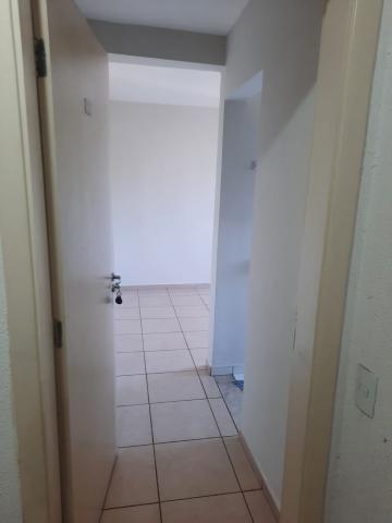 Apartamento / Padrão em Araçatuba , Comprar por R$Consulte-nos